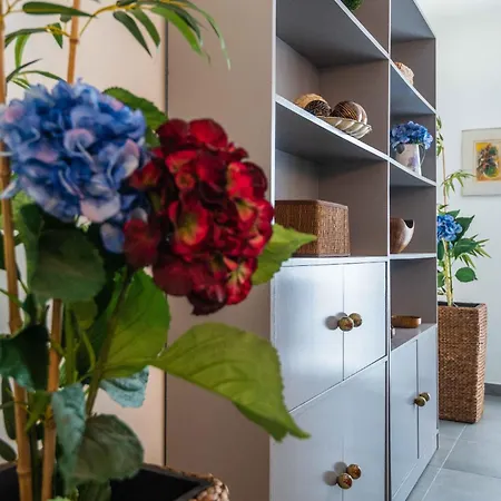 Caravelas 2-bedroom With Pool - 50m From The * Armação de Pêra