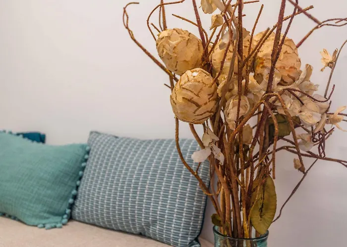 Caravelas 2-bedroom With Pool - 50m From The